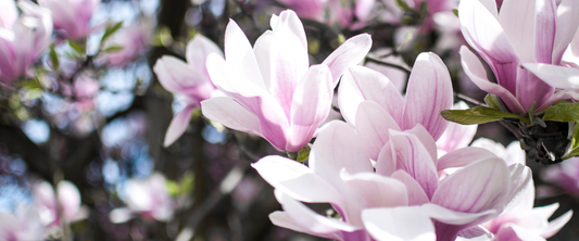 lente edelstenen
