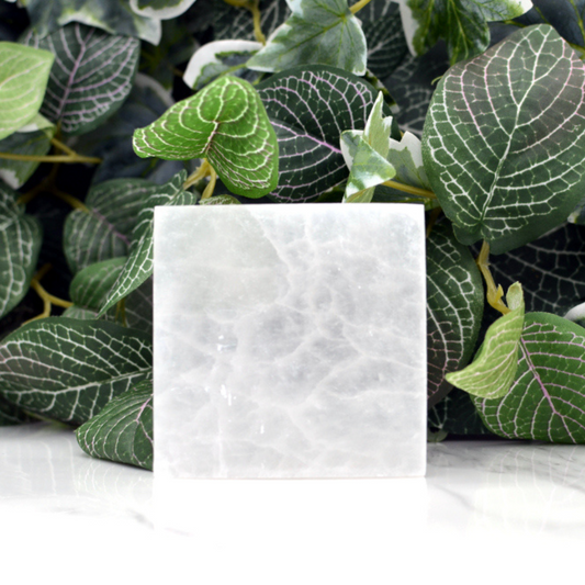 seleniet oplaadschijf